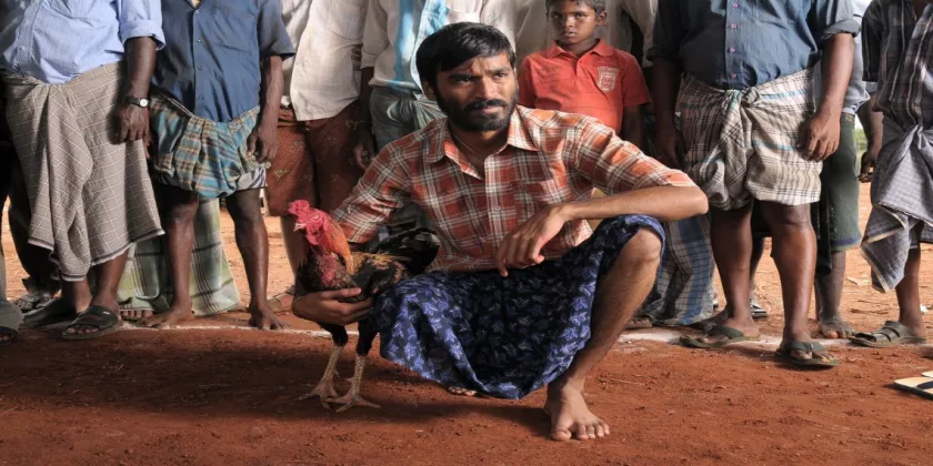 Aadukalam Movie Song Lyrics | ஆடுகளம் திடைப்பட பாடல் வரிகள்