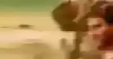 Raja Bheema - Deeplyrics