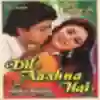 Kisi Ne Bhi To Na Dekha Song Lyrics - Dil Aashna Hai - Deeplyrics
